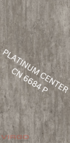 CN 6684P Cinder Concrete