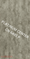 CN 6481P Cement Concrete