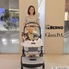Bernd Glam Pet (Duo Mode) รถเข็นสัตว์เลี้ยง คาร์ซีทแยกส่วนได้ พับพร้อมตะกร้าได้