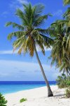 Southern Part Package Sightseeing Tour