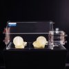 Acrylic Glove Box รุ่น GBT-4B