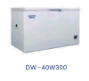 Freezer -40°C รุ่น DW-40W300