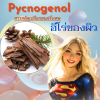 ทำไม Pycnogenol ถึงเป็นซูเปอร์ฮีโร่ของผิว