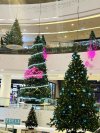 FUTURE PARK NEW YEAR 2024