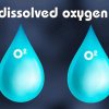 ค่า BOD (Biological oxygen demand) และ DO (Dissolved oxygen)