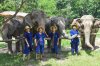 Elephant Care Center + Long Neck Tribe