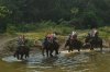 Elephant Safari & Bamboo Rafting
