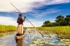 Botswana Tour