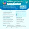 Microsoft 365 Copilot Courses Training