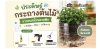 DIY กระถางต้นไม้จากขวดพลาสติกไอเดียรีไซเคิลง่ายๆ ที่ทำได้เอง