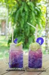 Blue Pea with Lime