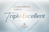 ความหมายที่แท้จริงของ Triple Excellent ความหมายที่แท้จริงของ Triple Excellent