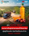 รู้จัก PHATRA GROUP คนกลางในอุตสาหกรรมน้ำมันปาล์ม ผู้อยู่เบื้องหลัง สินค้าในชีวิตประจำวันที่คนเรา “ขาดไม่ได้”