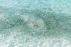 อ่าวมาหยา เที่ยวกระบี่ Maya Bay Phi Phi Krabi 