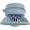 HPLN Pendant LED Lighting-Hazardous Area