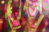 2023素林潮剧节精彩瞬间
