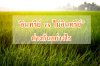 อินทรีย์ VS ไม่อินทรีย์แตกต่างกันอย่างไร