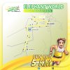 Elephant World Half Marathon 3