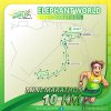 Elephant World Half Marathon 4