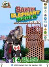 SURIN Elephant Would Half Marathon2025