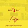 TCDCSURIN