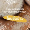 ข้าวฮอร์ ข้าวอินทรีย์สุรินทร์ THAILAND RICE FEST 2023