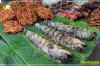 Green Mor 市场，位于泰国东北皇家理工大学素林校区（又称“Techno Surin”）前方。