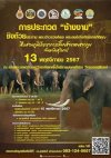 การประกวดช้างงาม การประกวดช้างงาม