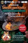 การประกวดโคตรกะเพราวากิว การประกวดโคตรกะเพราวากิว