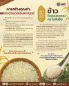 ข้าวประณีต ข้าวประณีต