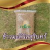 พันธุ์ข้าวมะลินิลสุรินทร์ 