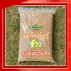 เมล็ดพันธุ์ข้าวหอมมะลิแดง เมล็ดพันธุ์ข้าวหอมมะลิแดง