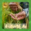 ข้าวอินทรีย์ คืออะไร? ข้าวอินทรีย์ คืออะไร?