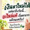ข้าวฮอร์ ข้าวอินทรีย์สุรินทร์