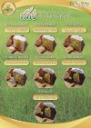 ข้าวฮอร์ HOR Hommali Organic Rice ข้าวอินทรีย์สุรินทร์ ข้าวฮอร์ HOR Hommali Organic Rice ข้าวอินทรีย์สุรินทร์