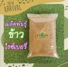 ความมหัศจรรย์ พันธุ์ข้าวไรซ์เบอร์รี่ ความมหัศจรรย์ พันธุ์ข้าวไรซ์เบอร์รี่