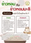 ความแตกต่างระหว่างข้าวหอม กับข้าวหอมมะลิ  ความแตกต่างระหว่างข้าวหอม กับข้าวหอมมะลิ