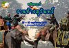 งานช้างสุรินทร์ประจำปี2568 งานช้างสุรินทร์ประจำปี2568