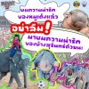 งานแสดงช้างสุรินทร์ 2567 