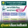 เข้ารับฉีดวัคซัน แบบFreestyle เข้ารับฉีดวัคซัน แบบFreestyle