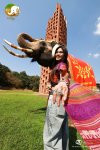 Thai Costume Photo Trip “Surin Sabai + Jeans × Smart Surin Elephant”