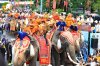 ตักบาตรบนหลังช้างประจำปี2569