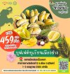 บุฟเฟต์ทุเรียนเมืองช้าง บุฟเฟต์ทุเรียนเมืองช้าง