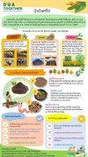 ปุ๋ยอินทรีย์ (Organic Fertilizer) ปุ๋ยอินทรีย์ (Organic Fertilizer)