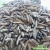Premium Selection – Mali Nin Surin Rice Seeds