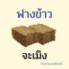 ฟางข้าวภาษาเขมรสุรินทร์ ฟางข้าวภาษาเขมรสุรินทร์