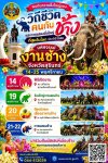 Surin-Elefantenfestival 2026