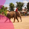 ม่วนทันทีที่เที่ยวสุรินทร์ศรีสะเกษ