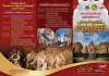 สืบสานตำนานพันปี ปราสาทศีขรภูมิ สืบสานตำนานพันปี ปราสาทศีขรภูมิ