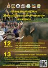สืบสานภูมิปัญญาการเลี้ยงช้างของชาวกูย จังหวัดสุรินทร์ สืบสานภูมิปัญญาการเลี้ยงช้างของชาวกูย จังหวัดสุรินทร์